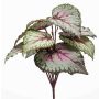 Planta artificial Begonia de hoja BLAROM en varilla, crossdoor, gris-rosa, 25 cm