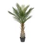 Palmera artificial palmera datilera ZOLTAR, crossdoor, 150 cm
