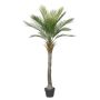 Palmera artificial palmera datilera ZOLTER, crossdoor, 150 cm