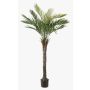 Palmera artificial palmera datilera ZOLTER, crossdoor, 150 cm