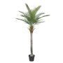 Palmera artificial palmera datilera ZOLTER, crossdoor, 180 cm