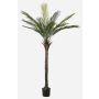 Palmera artificial palmera datilera ZOLTER, crossdoor, 180 cm