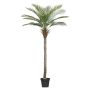Palmera artificial palmera datilera ZOLTER, crossdoor, 210 cm