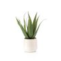 Aloe vera artificial NORSHA en maceta decorativa, blanco, 30 cm