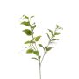 Rama decorativa de clemátide VLORIX, verde crema, 105 cm
