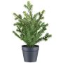 Planta artificial de tejo KRUHER, maceta decorativa, verde, 28 cm