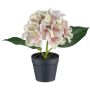 Flor decorativa Hortensia LENDYN en maceta decorativa, rosa pastel, 20 cm