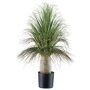 Palmera decorativa COOSA, 60 cm