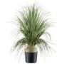 Palmera decorativa COOSA, 70 cm