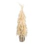 Hierba decorativa hierba de la pampa árbol de Navidad MOLFI en saco de yute, panículas, crema, 80cm