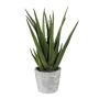 Suculenta decorativa Aloe Vera BRIZE en maceta de cemento, verde, 40 cm