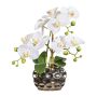 Flor decorativa Phalaenopsis BRULFEN, jarrón decorativo plateado, blanco, 30 cm
