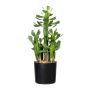 Cactus artificial Euphorbia trigona MANDOR, verde, 40 cm