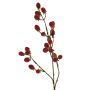 Rama decorativa de mora URUMA con frutos, roja, 90 cm