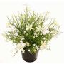 Flor decorativa impatiens GISINDA en maceta decorativa, blanco-verde, 25cm