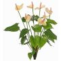 Anturio artificial NAKITA en varilla, rosa-crema, 50cm