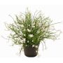 Flor decorativa GISINDA en maceta decorativa, blanca, 25cm