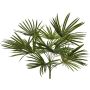Palmera artificial Washingtonia SAIMA en varilla, crossdoor, 50 cm