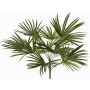 Palmera artificial Washingtonia SAIMA en varilla, crossdoor, 50cm
