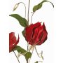 Rama de gloriosa de terciopelo DINFAS, rojo oscuro-dorado, 80cm