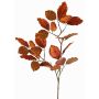 Rama de haya de terciopelo GALFHY, cobre, 70cm