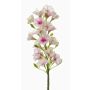 Phlox artificial ALSA, blanco-rosa, 35cm, Ø6cm