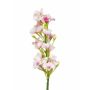 Phlox artificial ALSA, blanco-rosa, 35cm, Ø5cm