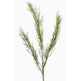 Rama de ciprés artificial BERFIN, verde, 45cm