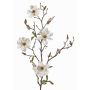 Rama de magnolia sintética MARGA, blanco, 80cm, Ø6-8cm
