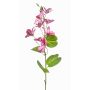 Rama decorativa Bauhinia DOWLER, rosa, 85 cm