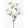 Rama decorativa Bougainvillea MOWLER con flores, crema, 70 cm