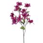 Rama decorativa Bougainvillea MOWLER con flores, violeta, 70 cm