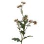 Rama de margaritas artificiales KALINKA, crema, 75cm, Ø3-4cm