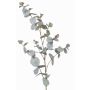 Rama de eucalipto artificial ILMO, gris-verde, 85cm