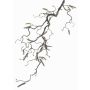 Rama de avellano artificial XANCHO, con amentos, marrón, 65cm, Ø0,5cm