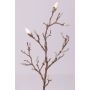 Rama de magnolia artificial ASANI, blanco, 70cm