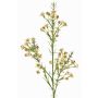 Rama decorativa de flor de cera FRINDALS, crema, 65cm, Ø1,5-2cm