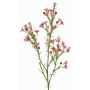 Rama decorativa de flor de cera FRINDALS, rosa oscuro, 65cm, Ø1,5-2cm