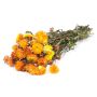 Ramo de flores de paja ALMINKA, secas, naranja-amarillo, 50-60 cm, Ø 15 cm