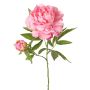 Peonía artificial WARDUAN, Eco Collection, rosa, 65 cm, Ø 15 cm