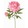 Peonía artificial WARDUAN, Eco Collection, rosa, 65cm, Ø15cm