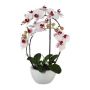 Orquídea Phalaenopsis textil INAKES, maceta de cerámica, raíces, rosa y blanca, 50 cm