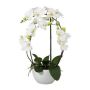 Orquídea Phalaenopsis textil INAKES, maceta de cerámica, raíces, blanca, 50 cm