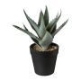 Suculenta artificial Aloe Vera BLORN en maceta decorativa, verde, 20 cm