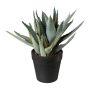 Suculenta artificial Aloe Vera BLORN en maceta decorativa, verde, 23cm