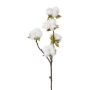 Rama artificial de algodón GROVEL con frutos, blanca, 45 cm
