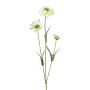 Rama decorativa de scabiosa ATLENTO, blanca, 65 cm