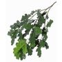 Rama decorativa de roble KALLI, crossdoor, 70cm