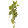Planta artificial begonia palmata OANFIR, varilla, colgante, verde, 90cm