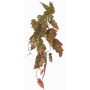 Planta artificial begonia palmata OANFIR, varilla, colgante, rosa-verde, 90cm